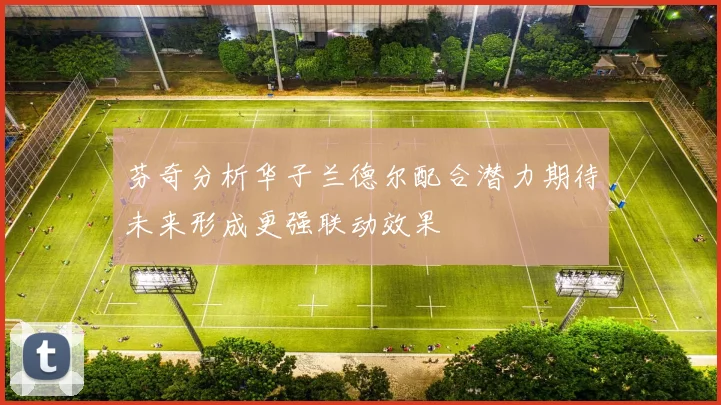 芬奇分析华子兰德尔配合潜力期待未来形成更强联动效果